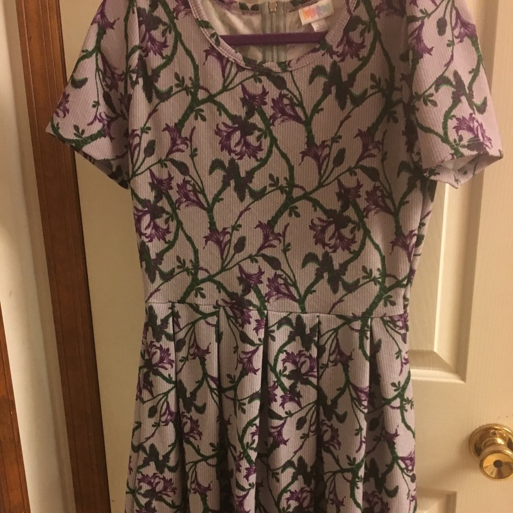 LulaRoe Amelia dress, Large, EUC